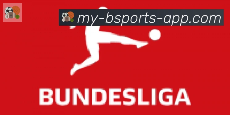bsports体育合作伙伴